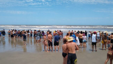 Banhistas deixam a praia assustados após ataque de tubarão