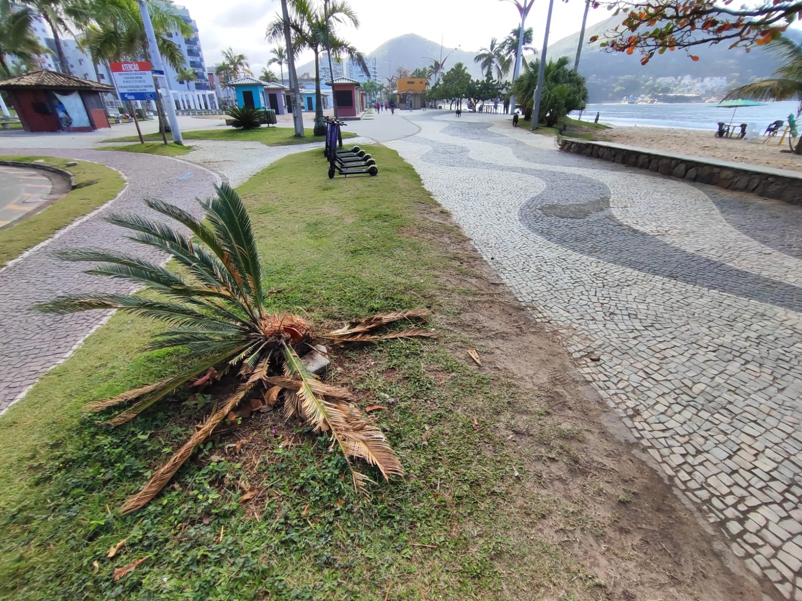 Orla de Caraguá vira estacionamento de carretas que transportam