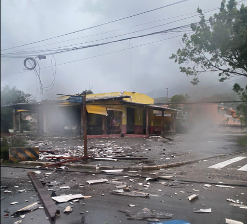 FOTOS: vento provoca queda de árvores, falta de energia elétrica e