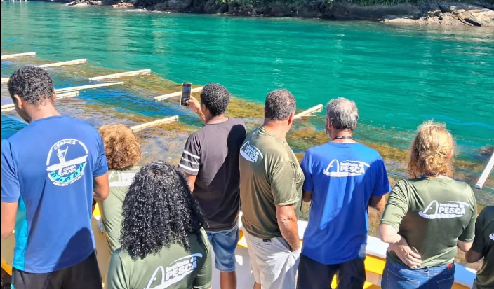 Senado Federal Irá Debater Potencial Do Cultivo Da Alga Kappaphycus 